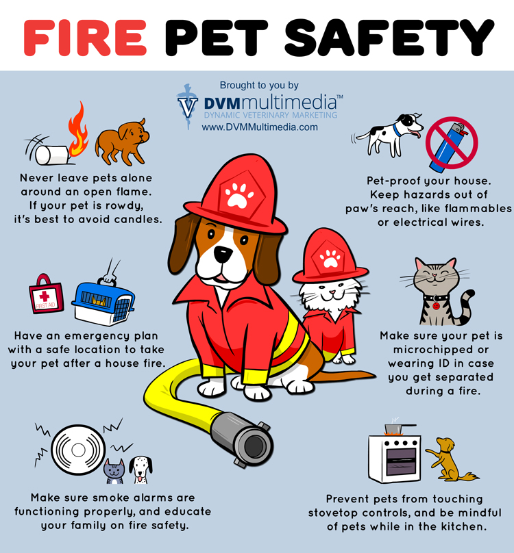 tips to protect your kids and pets from fire injuries