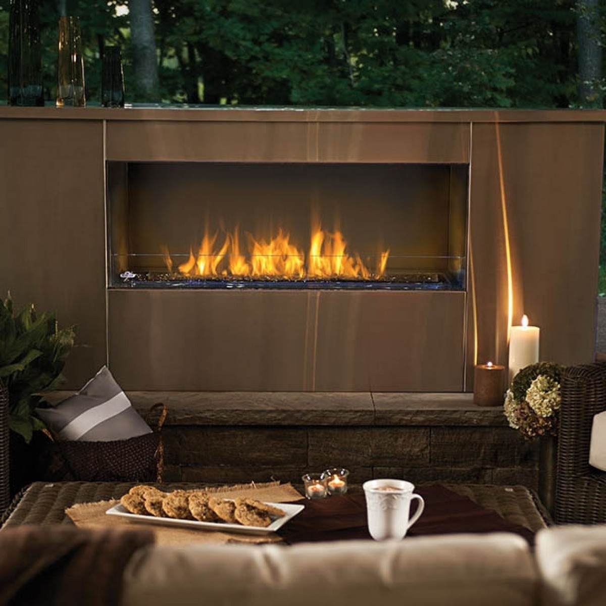 Gas Fireplace