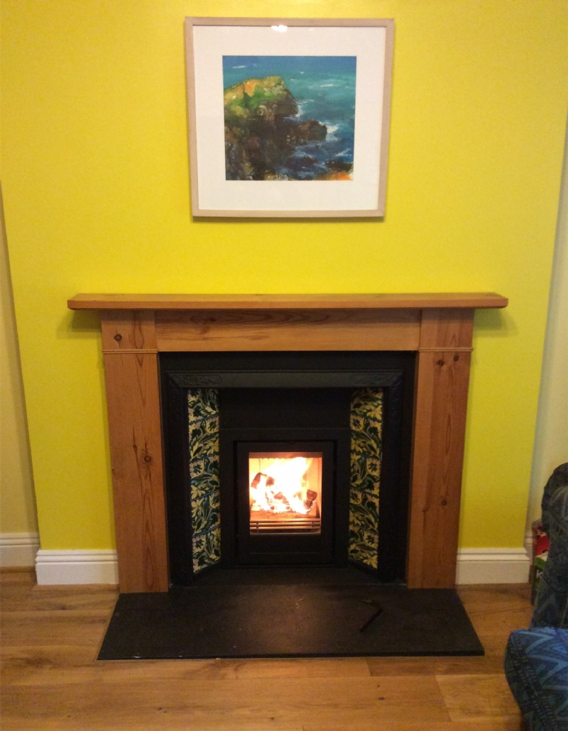 Why Choose a Wood Burning Insert
